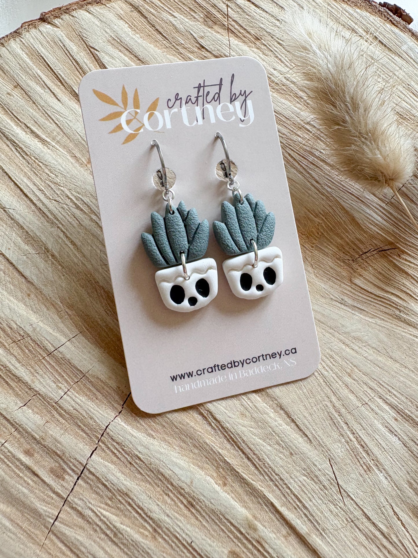 Succulent Skulls
