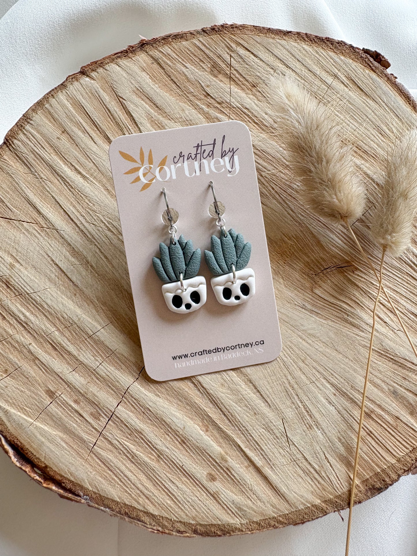 Succulent Skulls